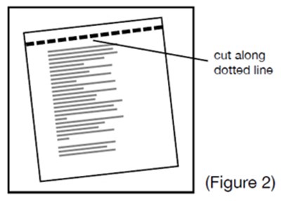 Figure 2 (Scopolamine 04)