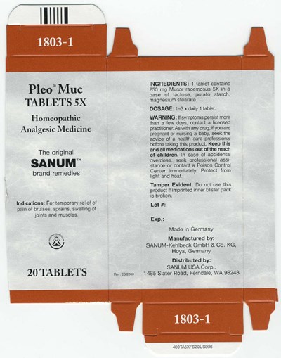 Principal Display Panel (20 Tablets Carton)