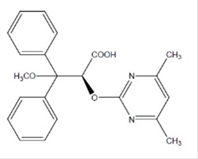 spl-structure.jpg spl-structure - spl structure
