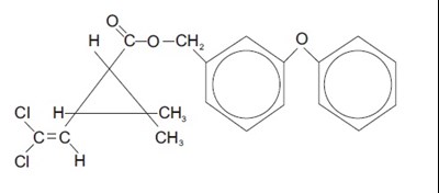 structure.jpg - structure