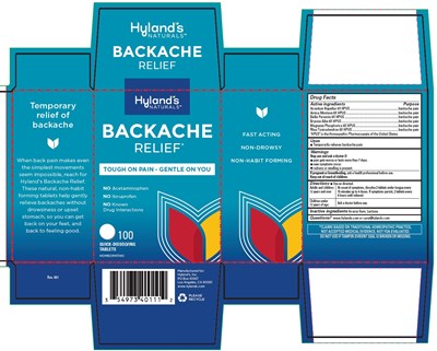 Hbkat100 Carton
