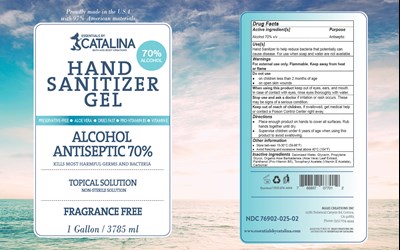 1 Gallon Jug of Hand Sanitizer - 76902 025 02