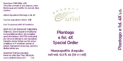 Plantagoefol4soampules