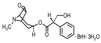 Image Description (Phenohytro 04)