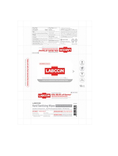 Labccin Antibacterial Hand Sanitizing Wipes 10 (10)