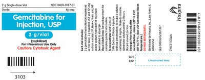 gemcitabine-07.jpg PRINCIPAL DISPLAY PANEL - 2 g Vial Label - gemcitabine 07