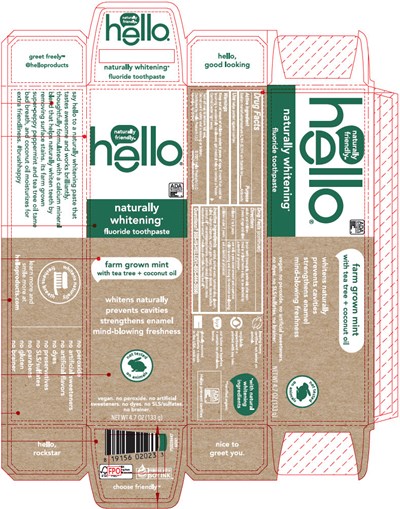 toothpaste-01.jpg PRINCIPAL DISPLAY PANEL - 133 g Tube Carton - toothpaste 01