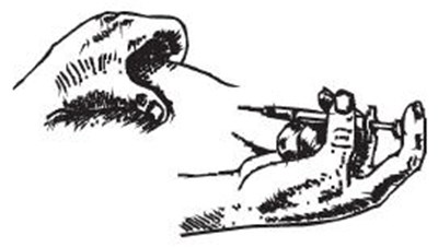 Figure 1 (Ovidrel 01)