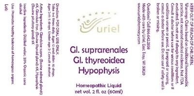 GlSuprarenalesGlThyreoideaHypophysisLiquid.jpg GlSuprarenalesGlThyreoideaHypophysisLiquid - GlSuprarenalesGlThyreoideaHypophysisLiquid