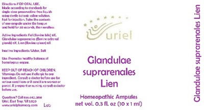 GlaSupLieAmp.jpg GlaSupLieAmp - GlaSupLieAmp