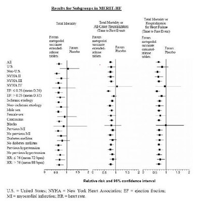 Figure (Metaprolol 02)