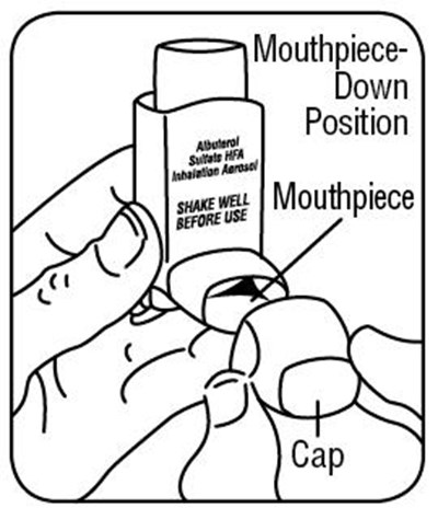 Figure E (Albuterol Sulfate Hfa N021457 9)