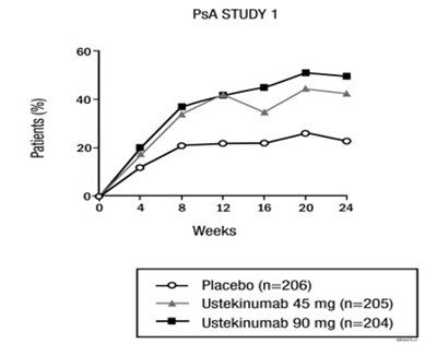 Figure 1 - wezlana 04