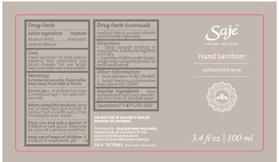 Handsanitizer 100ml Spray Sticker 707865 Usa Outlined V3