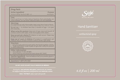 Handsanitizer 200ml Spray Sticker 707867 Usa Outlined V3