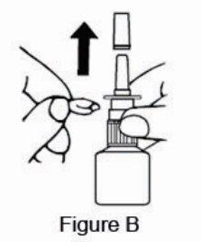 Figure B (Azelastine HCl Nasal Spray 0 1 3)