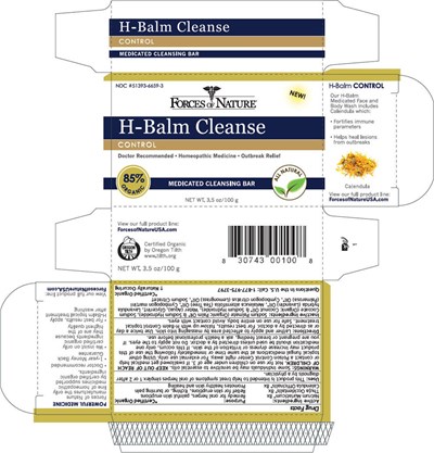Principal Display Panel (100 g Box)