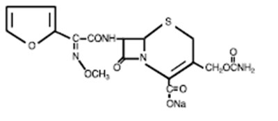 Cefuroxime Structural Formula (E4a6cecb B7bd 4e27 9535 4ab73c2ccc00 01)