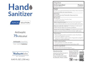 Hand Sanitizer (Alcohol 250ml)