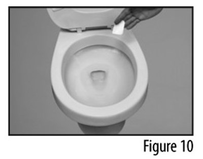 Figure 10 (Flushing patch down a toilet)