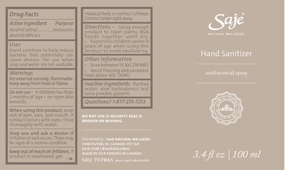 100ml Size (Handsanitizer 100ml Spray Sticker 707865 Usa Outlined V1)