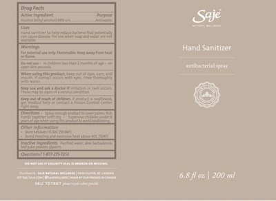 200ml Size (Handsanitizer 200ml Spray Sticker 707867 Usa Outlined V1)