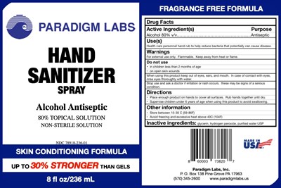 Hand Sanitizer Label (Handsan8fda)