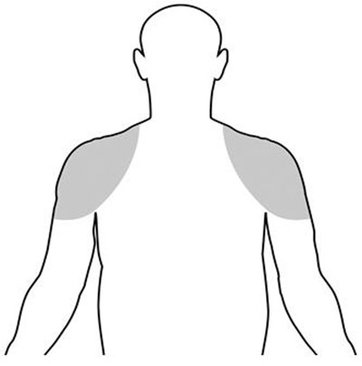 testosterone-01.jpg Figure - testosterone 01