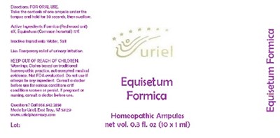 EquisetumFormicaAmpules.jpg EquisetumFormicaAmpules - EquisetumFormicaAmpules