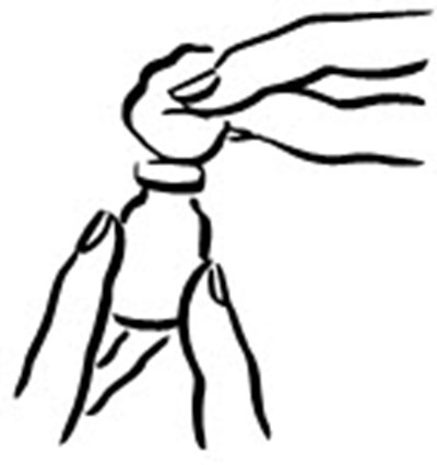 Figure 2 (Increlex 03)