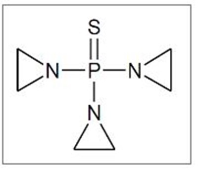 structure.jpg structure.jpg - structure