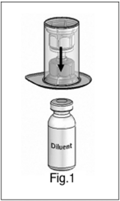 Image File - img0004