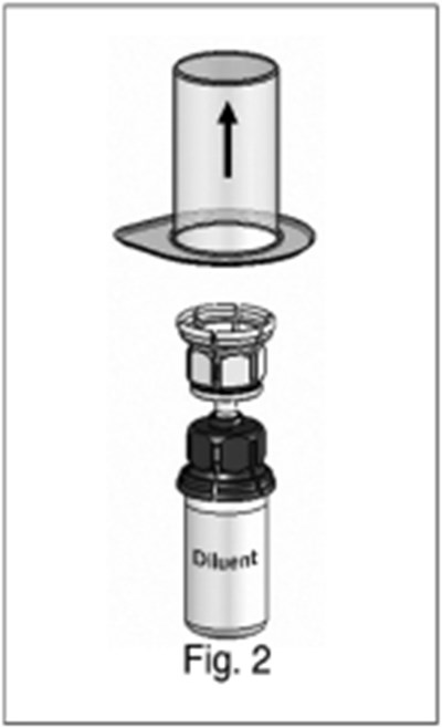 Image File - img0005