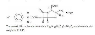 image description - module