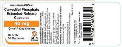 carvedilol-5.jpg Principal Display Panel - 40mg - carvedilol 5