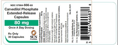 Principal Display Panel (80mg)