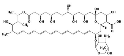 Chemical Structure Of Amphotericin B (Image 02)