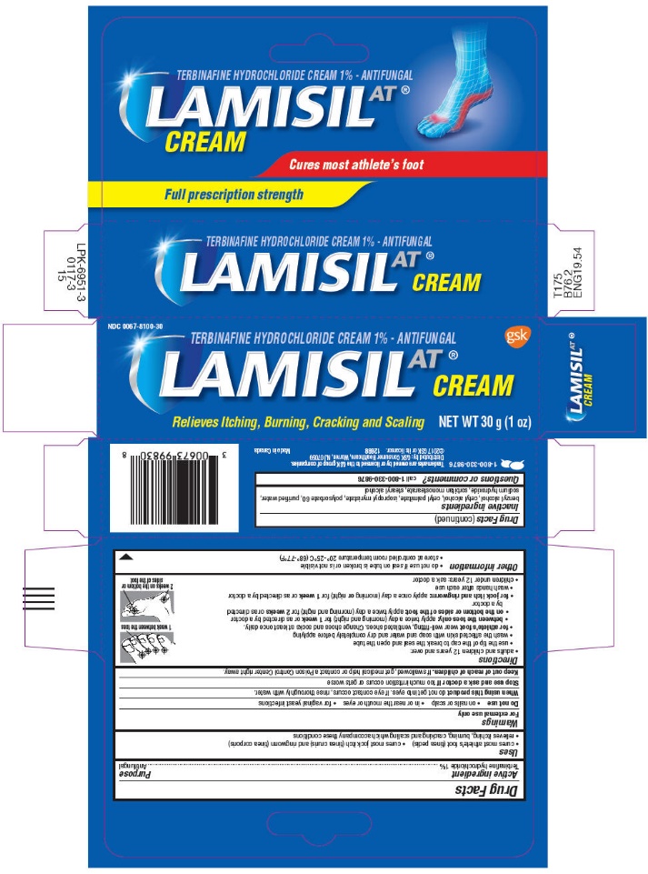 NDC 0067 8100 Lamisil At Terbinafine Hydrochloride