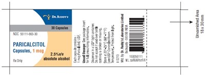 container1.jpg container1 - container1