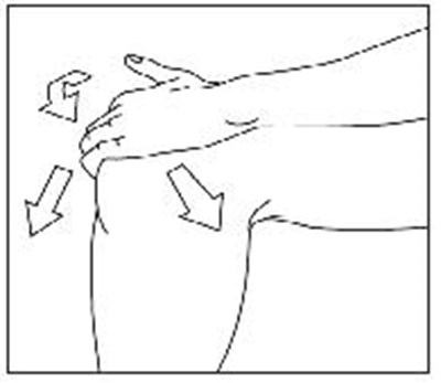 Figure2 (Figure2)