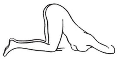 Step 3.b. (Sfrowasa 05)