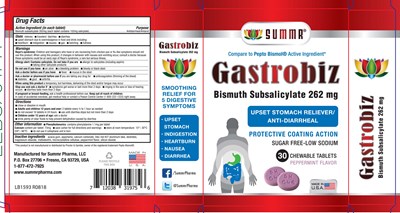 Gastrobiz (bismuth Subsalicylate 262mg) (Gastrobiz Bismuth Subsalicylate 262mg 1)