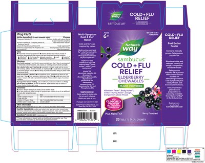 Lhbn15175_01_sambucus_coldflurelief_20ct_fnl.jpg (Lhbn15175 01 Sambucus Coldflurelief 20ct Fnl)