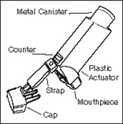 Figure 1 (Be5c94a2 7c20 46d0 8829 Ac332a1c4eed 05)