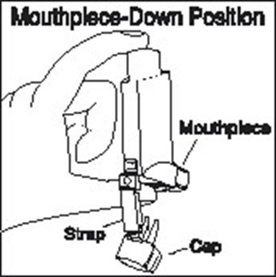 Figure 2 (Be5c94a2 7c20 46d0 8829 Ac332a1c4eed 06)
