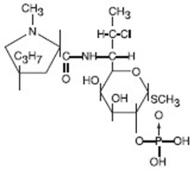 Clindamycin-structure (Clindamycin Structure)