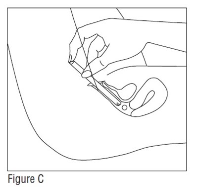 Figure C (Estradiol Fig3)