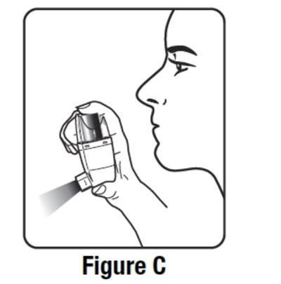 Figure C (Ifu C)