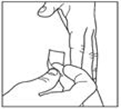 Figure (Lantus 09)