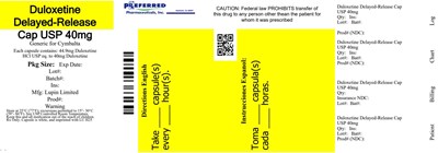Duloxetine Delayed-release Cap Usp 40mg (69d6387b 794f 415d 8013 23cca0a6984f 15)